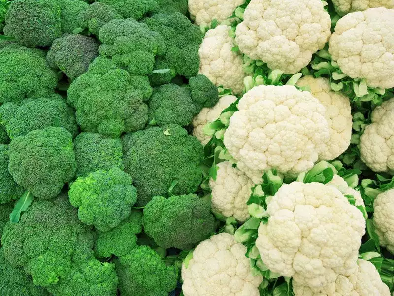 brokoli-ve-karnabahar-hangisi-daha-saglikli-9454b638-5693-4e11-bd01-3bb01996ec84.webp