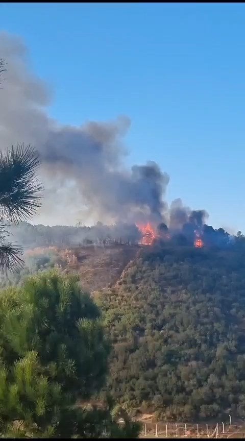 Sultangazi'de Orman Yangını: Havadan Destek İstendi