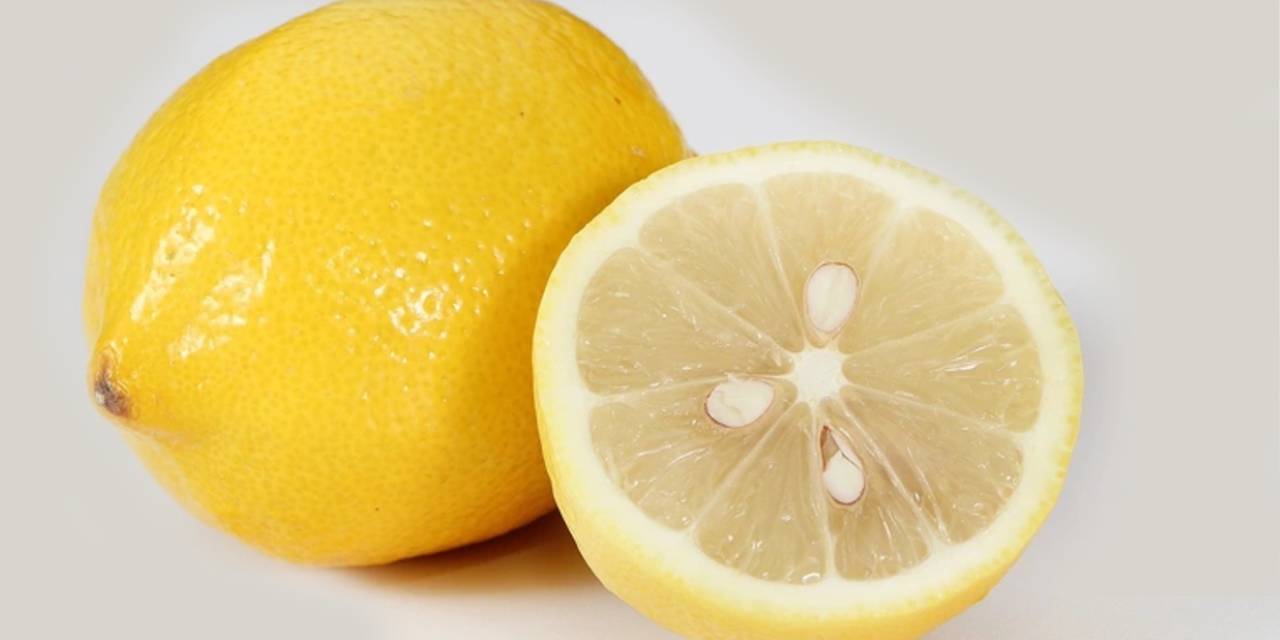 limon-cekirdigi-2.jpg