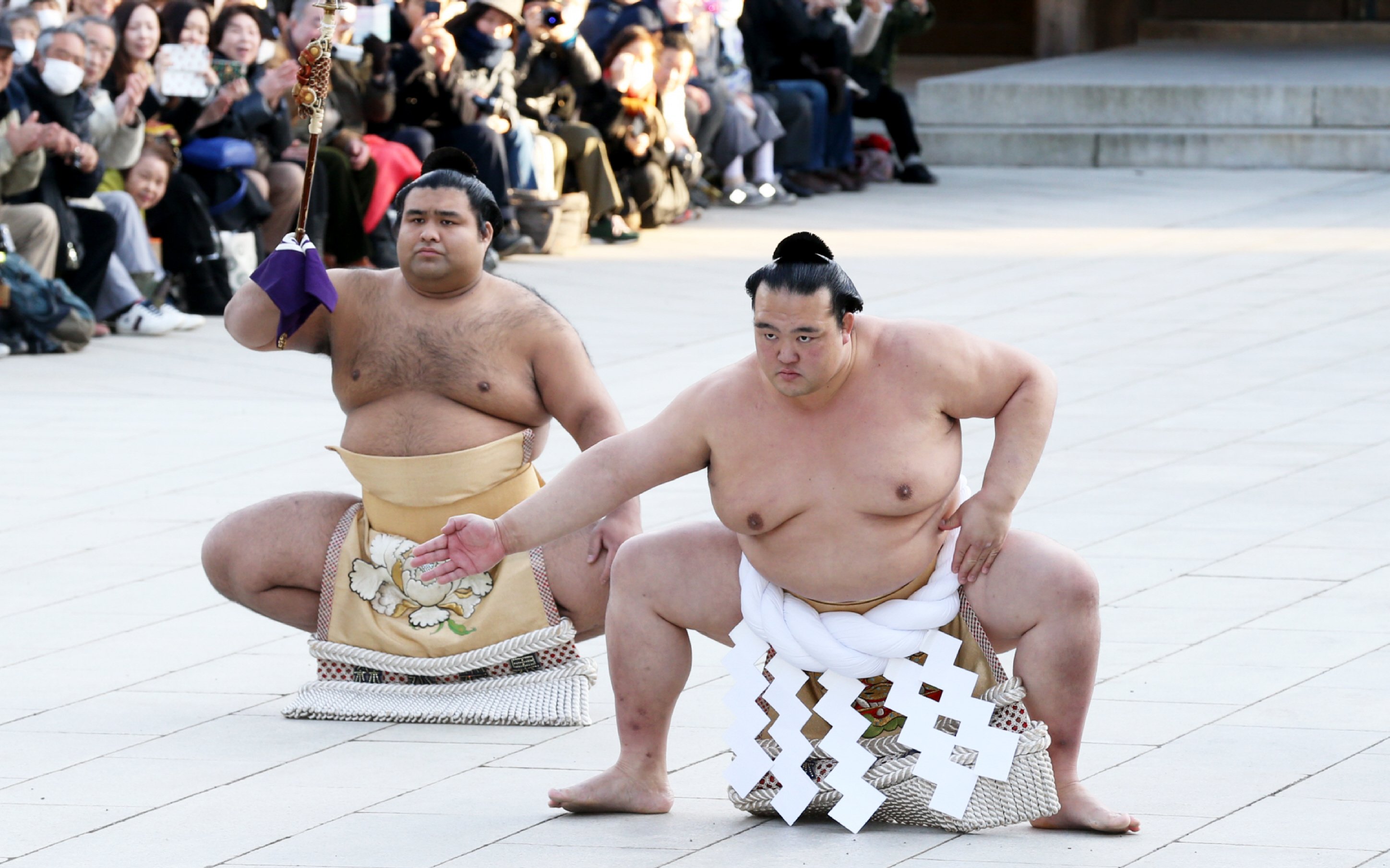 sumo.jpg