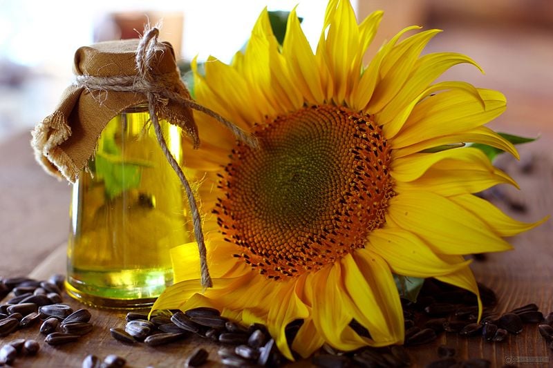 sunflower-oil-and-sunflower.jpg