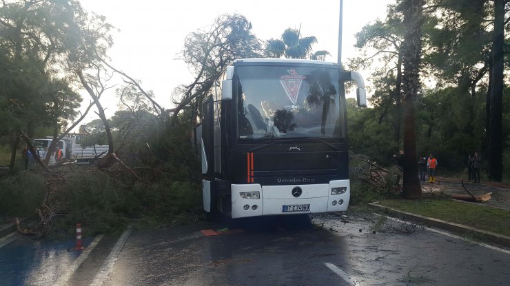 Otel Servisinin Üzerine Ağaç Devrildi: 7 Yaralı