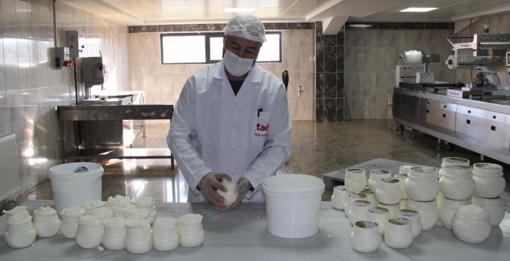 Türkiye'de 287 Çeşit Peynir Yapılıyor