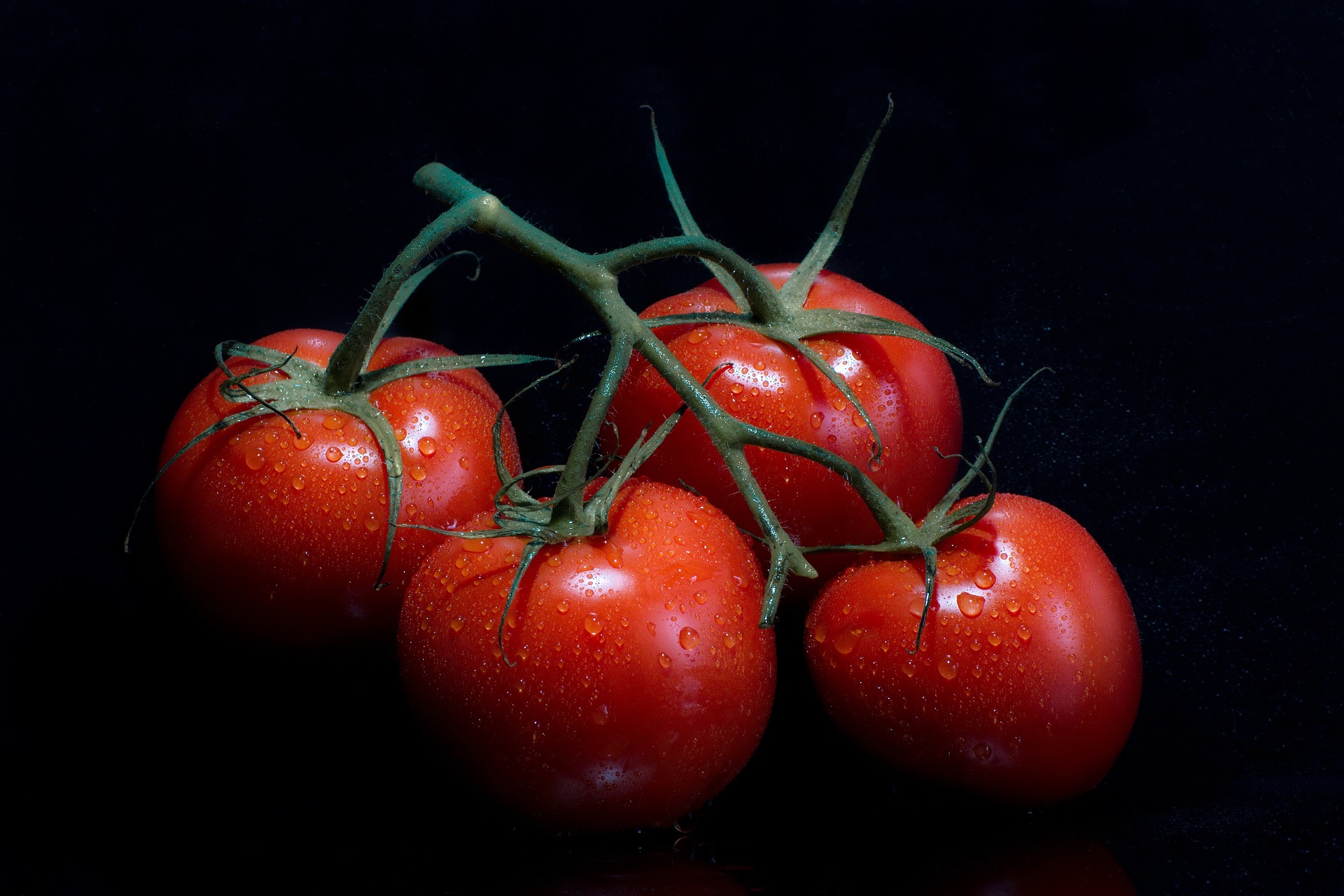 tomatoes-6712908-1920.jpg