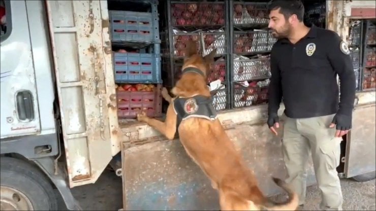 Yerlikaya Açıkladı! 48 ilde 242 Uyuşturucu Satıcısı Yakalandı