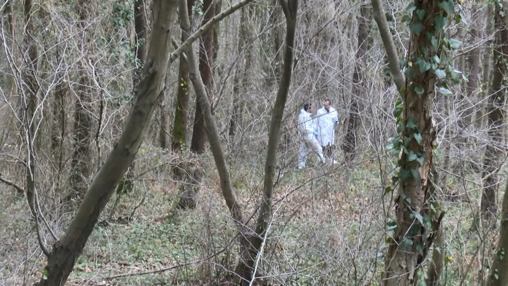 İstanbul'da Avcılar Ağaca Bağlanmış Erkek Cesedi Buldu!