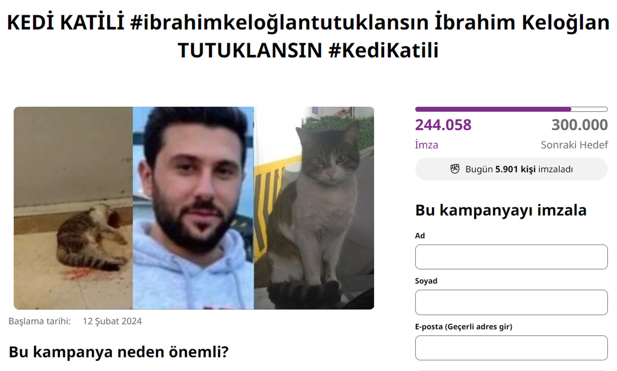 kedi-katilinin-tutuklanmasi-icin-250-bin-14973-1.jpg