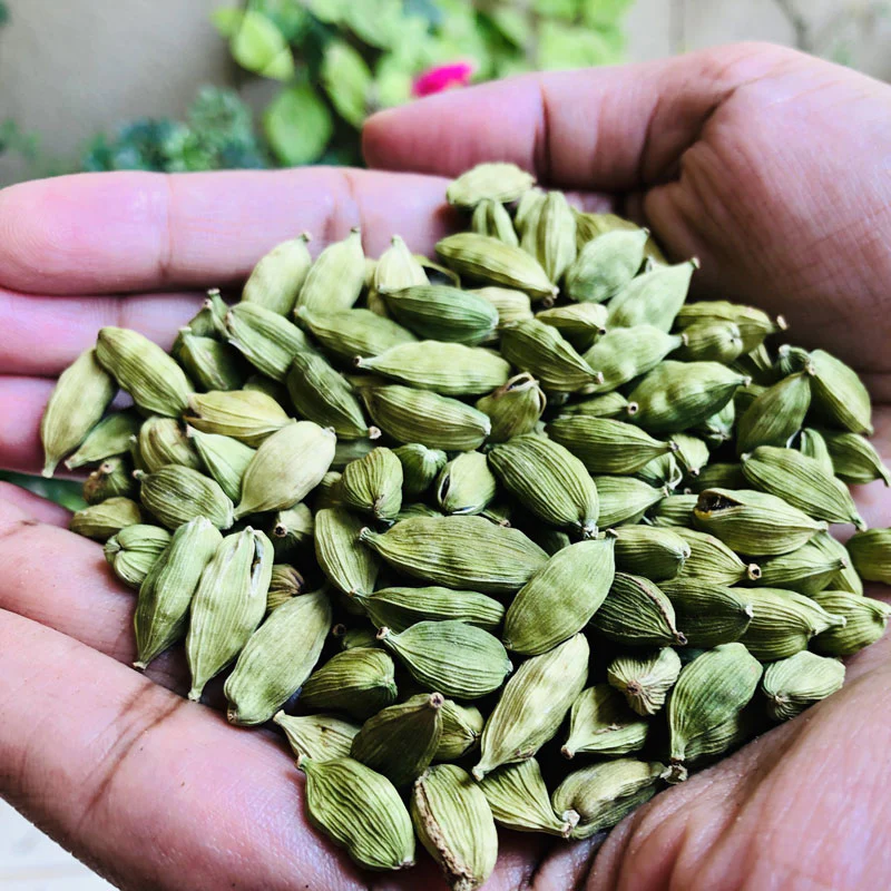 greencardamom1.webp