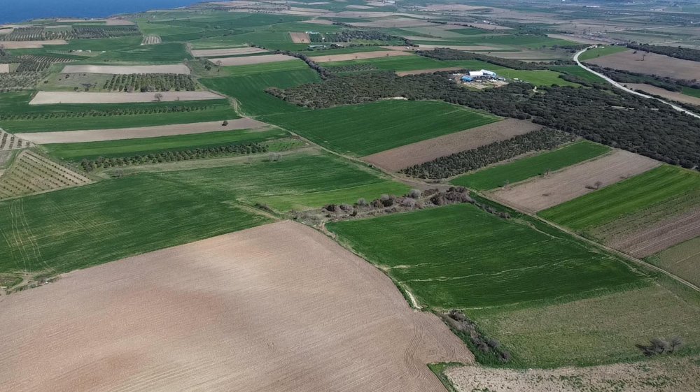 Çanakkale'de Kayıp 'Halileli Batarya Şehitliği'nin Yeri Bulundu