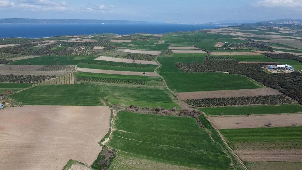 Çanakkale'de Kayıp 'Halileli Batarya Şehitliği'nin Yeri Bulundu