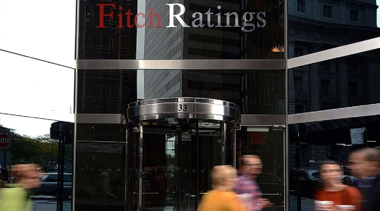 fitch1.jpg