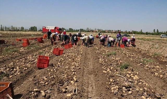 sandikli-da-yazlik-patates-hasadi-basladi-167.jpg