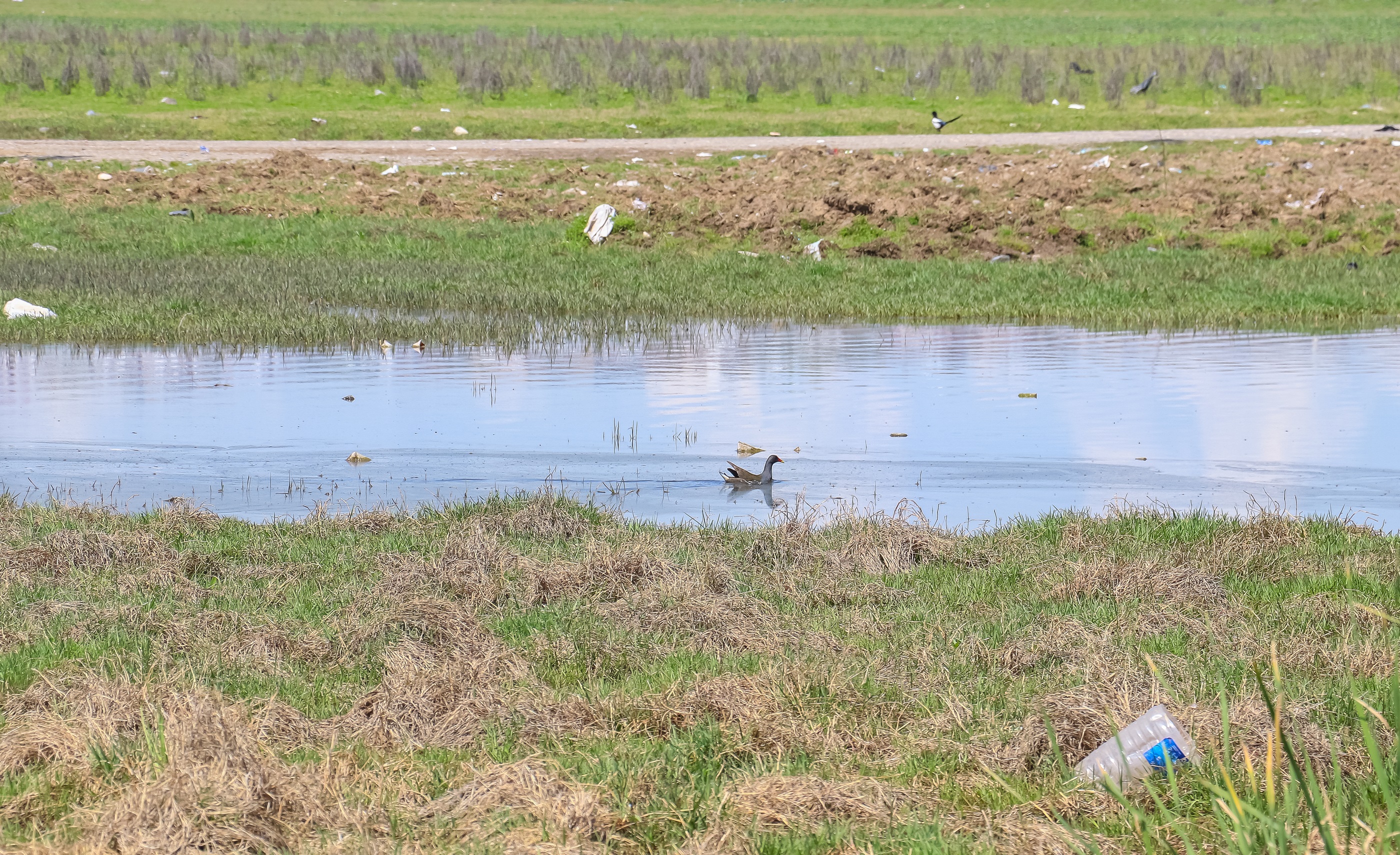 piknikci-atiklari-dicle-nehri-cevresini-40101-1.jpg