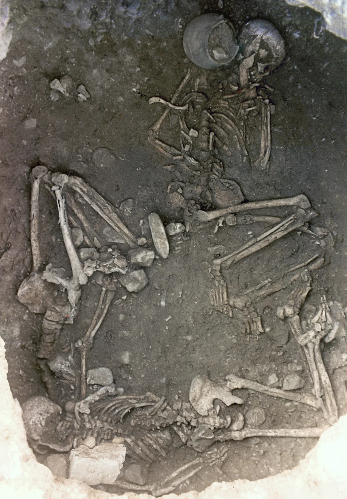5500-yilik-iskelet1.png