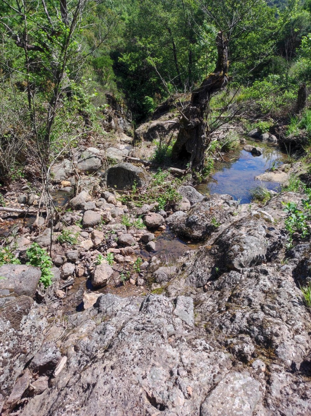 Korhan Berzeg'in Kemiklerinde Kan Donduran 250 Metre Ayrıntısı