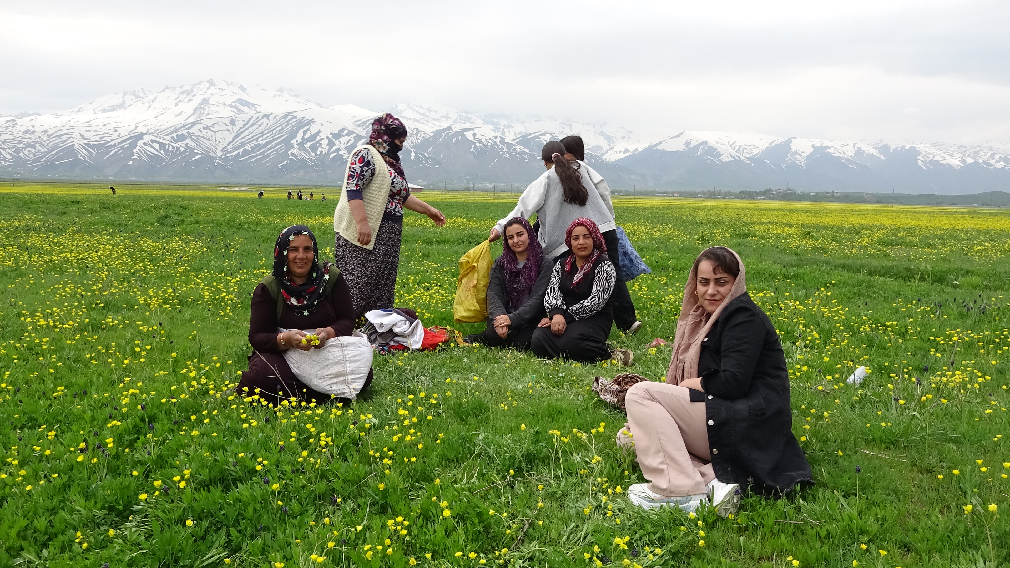 yuksekovali-kadinlarin-baharda-ot-mesa-47754-8.jpg