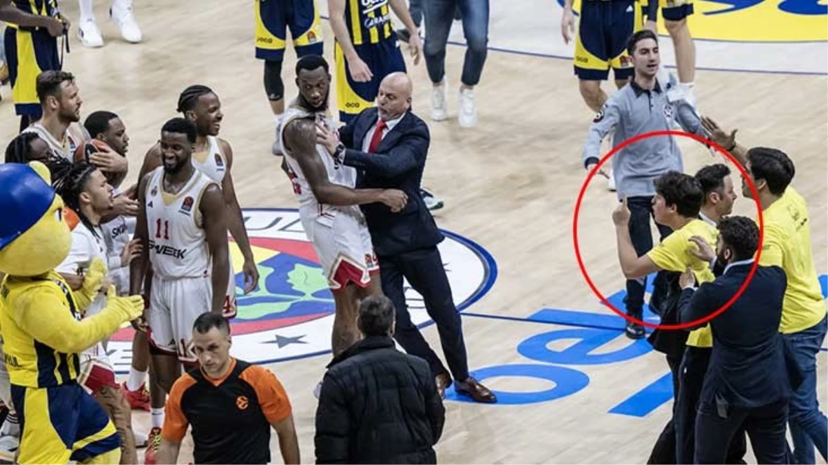 fenerbahce-beko.jpg