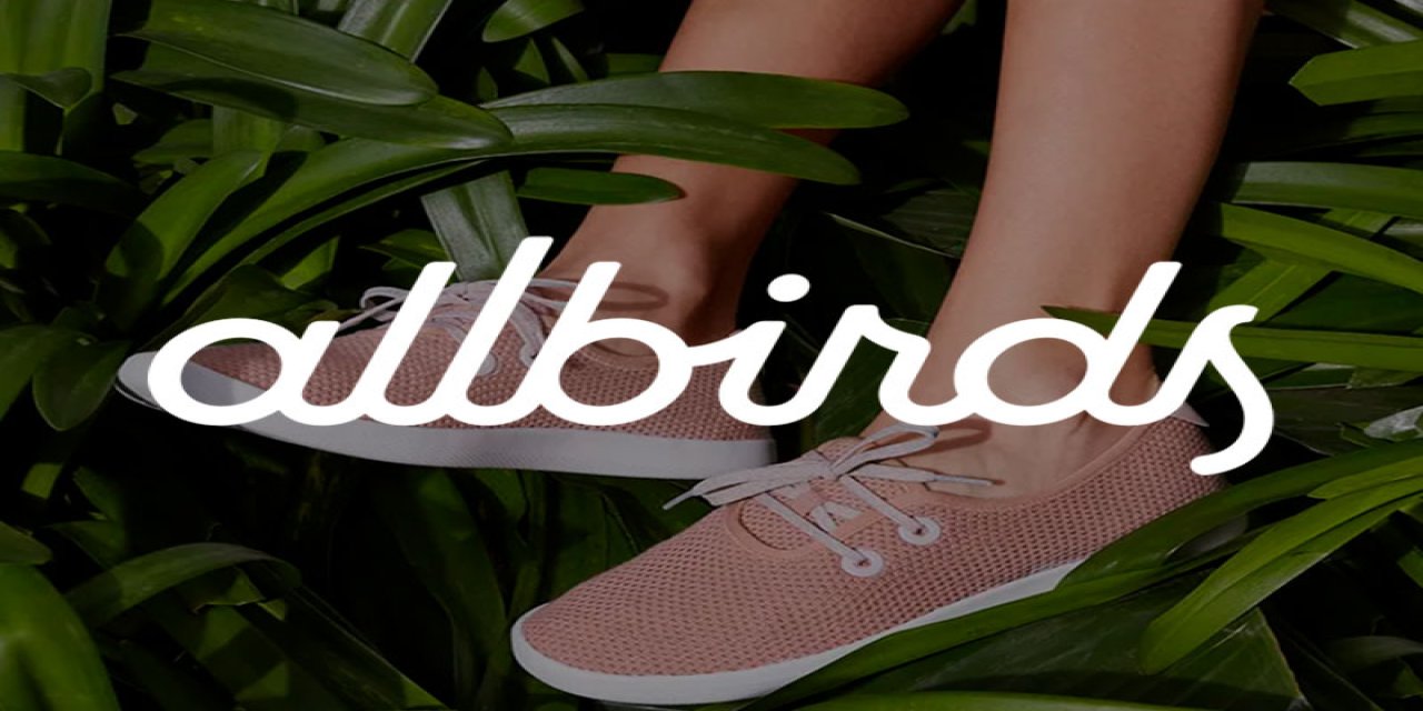 thepoint-allbirds-portfolio-image.jpg