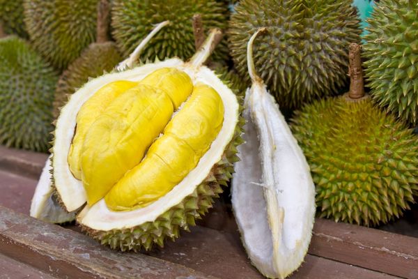 durian-2.jpg