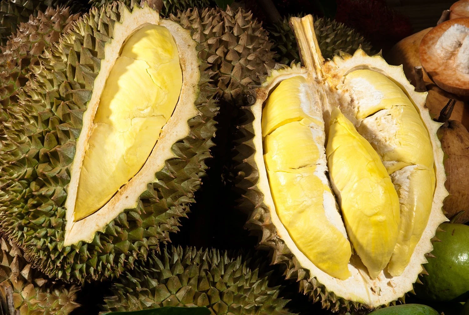 durian3.webp