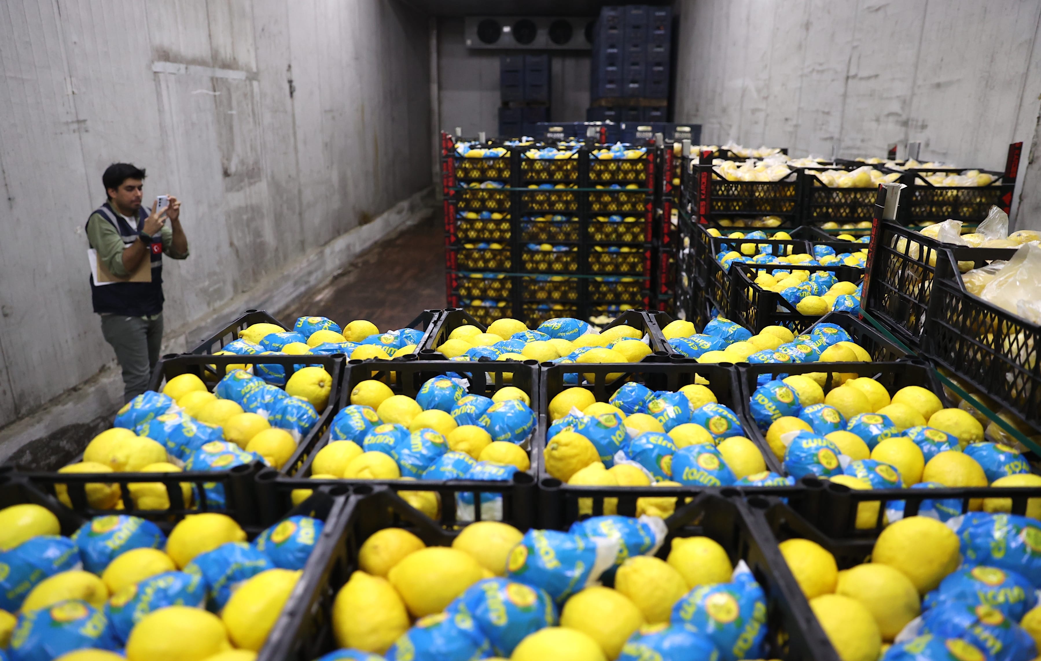 aa-20240701-35020930-35020921-ticaret-bakanligi-ekipleri-mersinde-limon-depolarini-denetledi.jpg