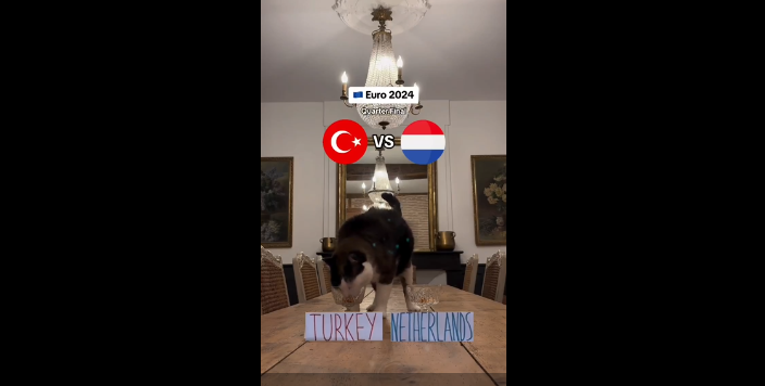 turkiye-hollanda2.png