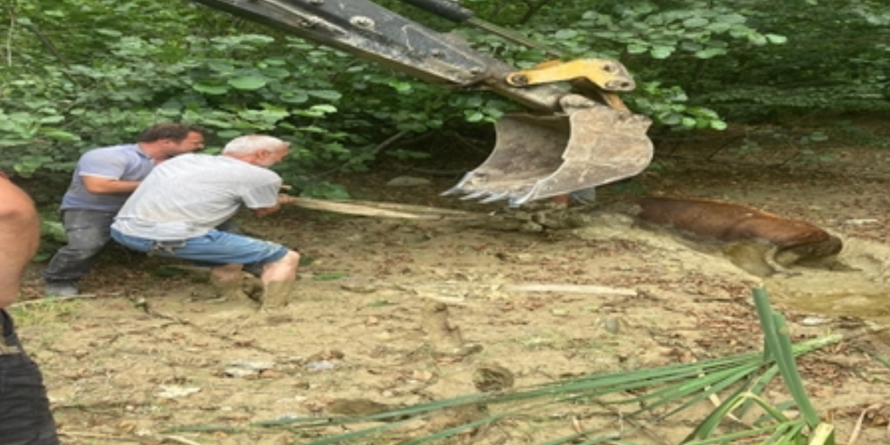 yeni-proje-2024-07-11t193530-176.png
