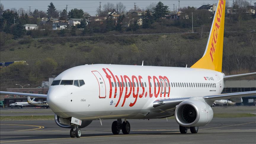 pegasus1.jpg