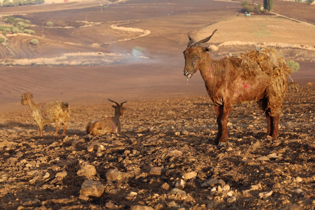 diyarbakir-mardin-yangin.jpg