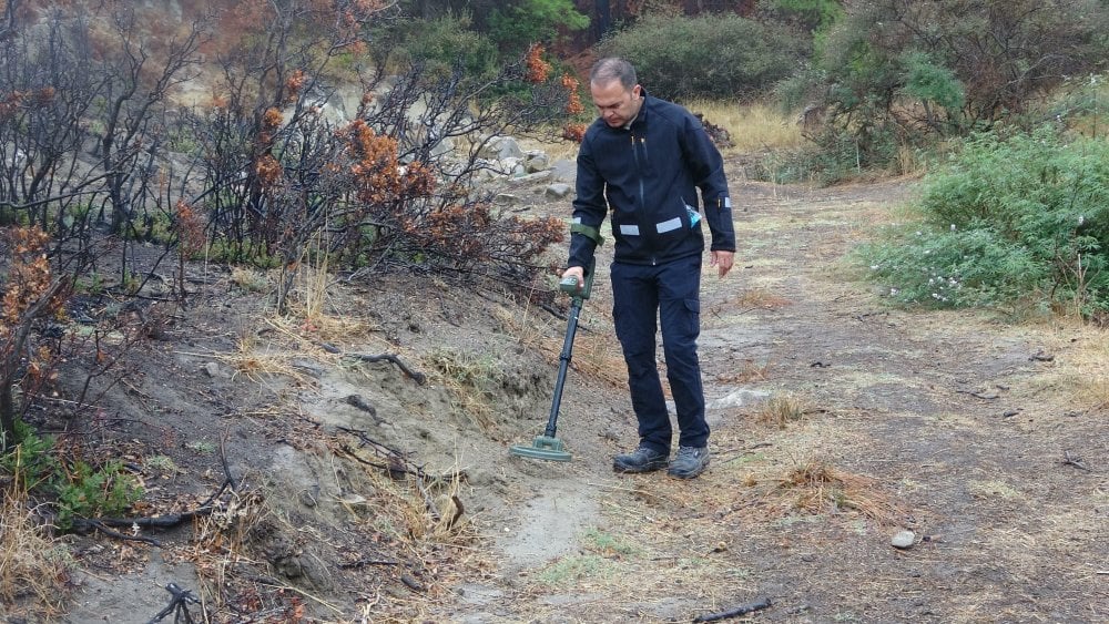 Doğum yapan köpeğin yavrularını almaya gittiğinde bulduğu şeyle şaşkına döndü