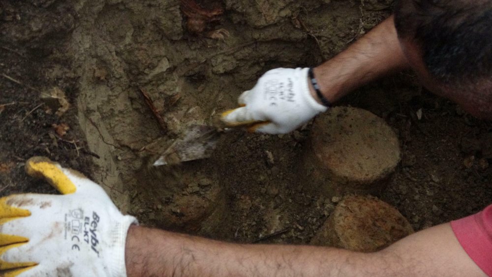 Doğum yapan köpeğin yavrularını almaya gittiğinde bulduğu şeyle şaşkına döndü