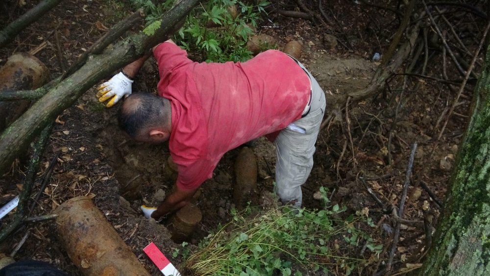 Doğum yapan köpeğin yavrularını almaya gittiğinde bulduğu şeyle şaşkına döndü