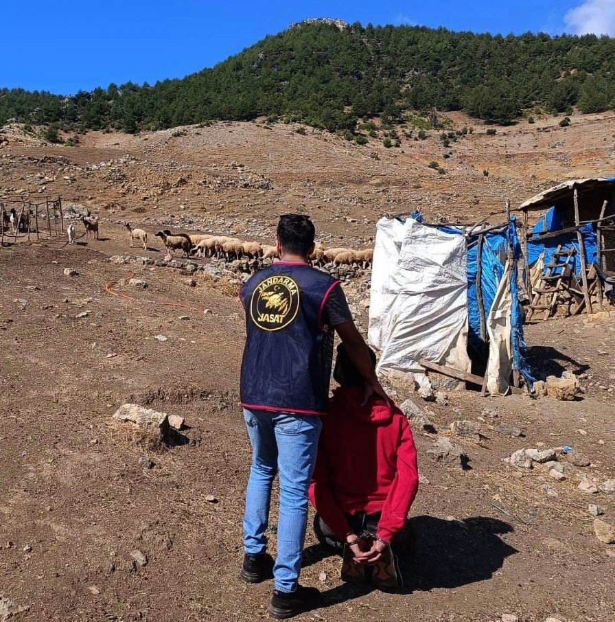 11 yıl hapisle aranıyordu! Ormanda yakalandı