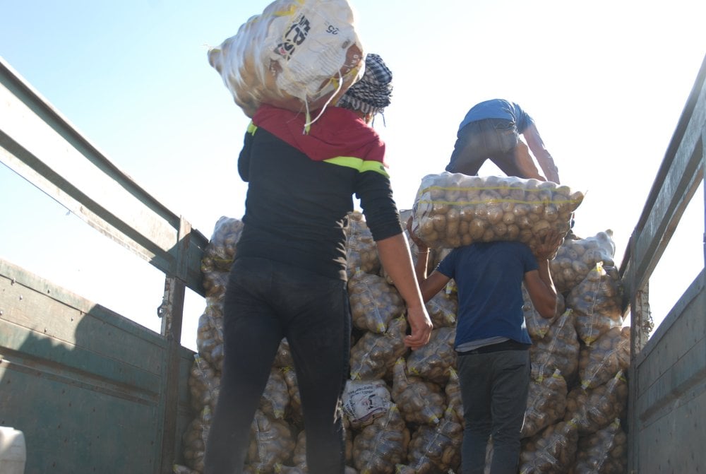 Yazlık ve kışlık patates aynı dönemde hasat edildi fiyat 4 liraya düştü