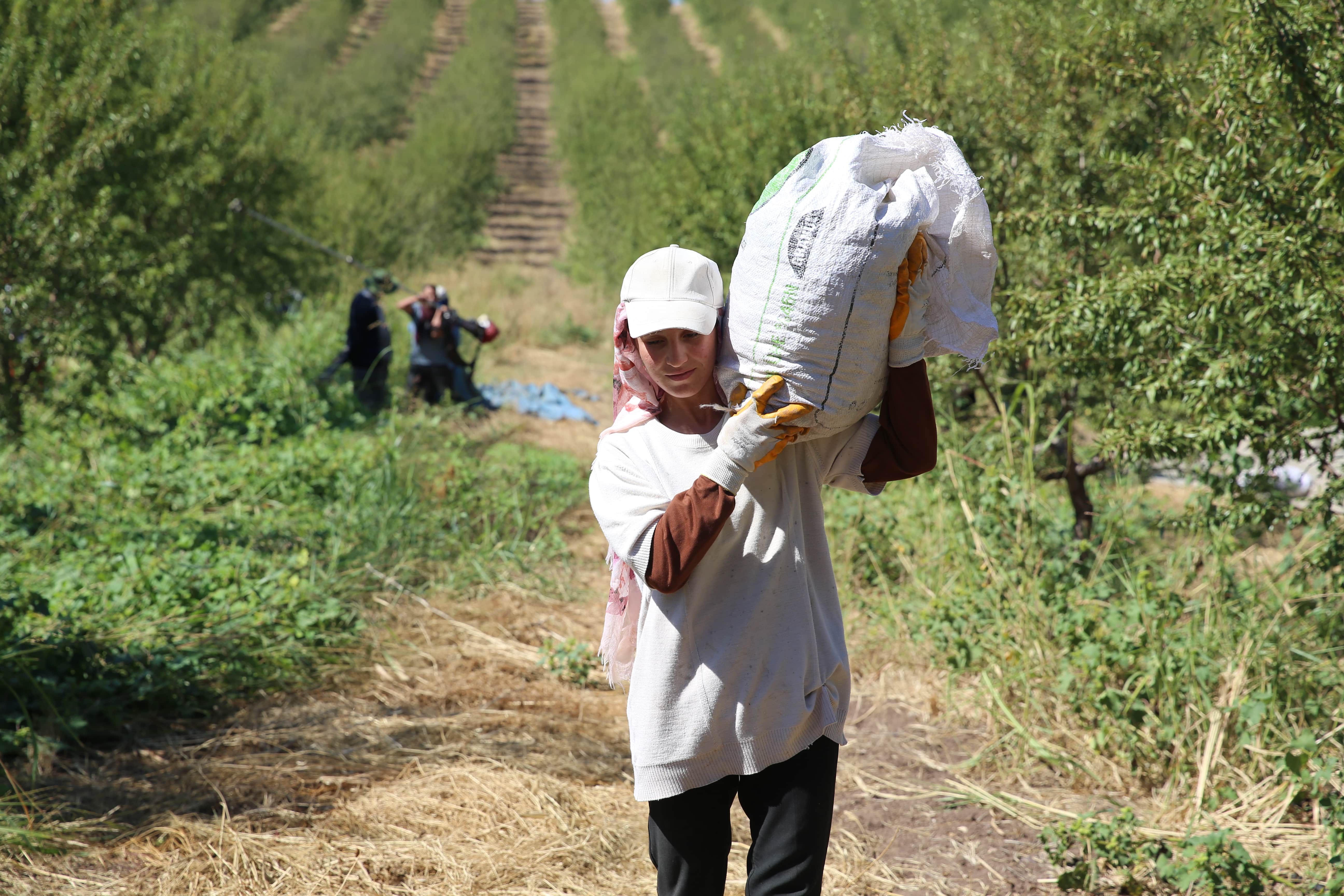 aa-20240927-35750469-35750457-diyarbakirda-tarima-uygun-olmayan-araziler-badem-uretimiyle-ekonomiye-kazandirildi-min.jpg