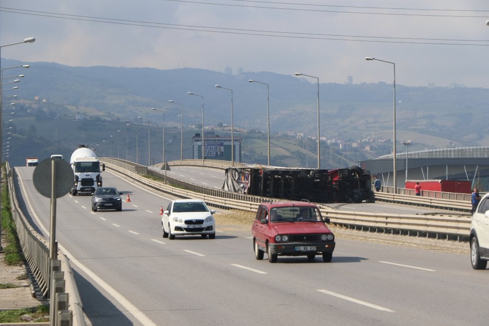 Küçücük bir arı koca TIR'ı devirdi