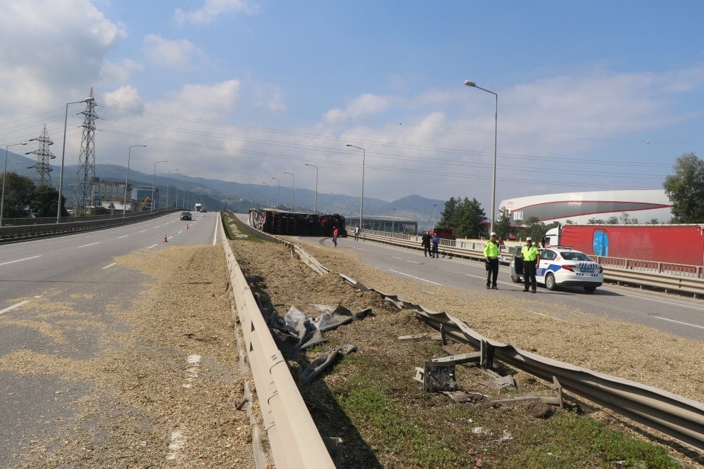 Küçücük bir arı koca TIR'ı devirdi