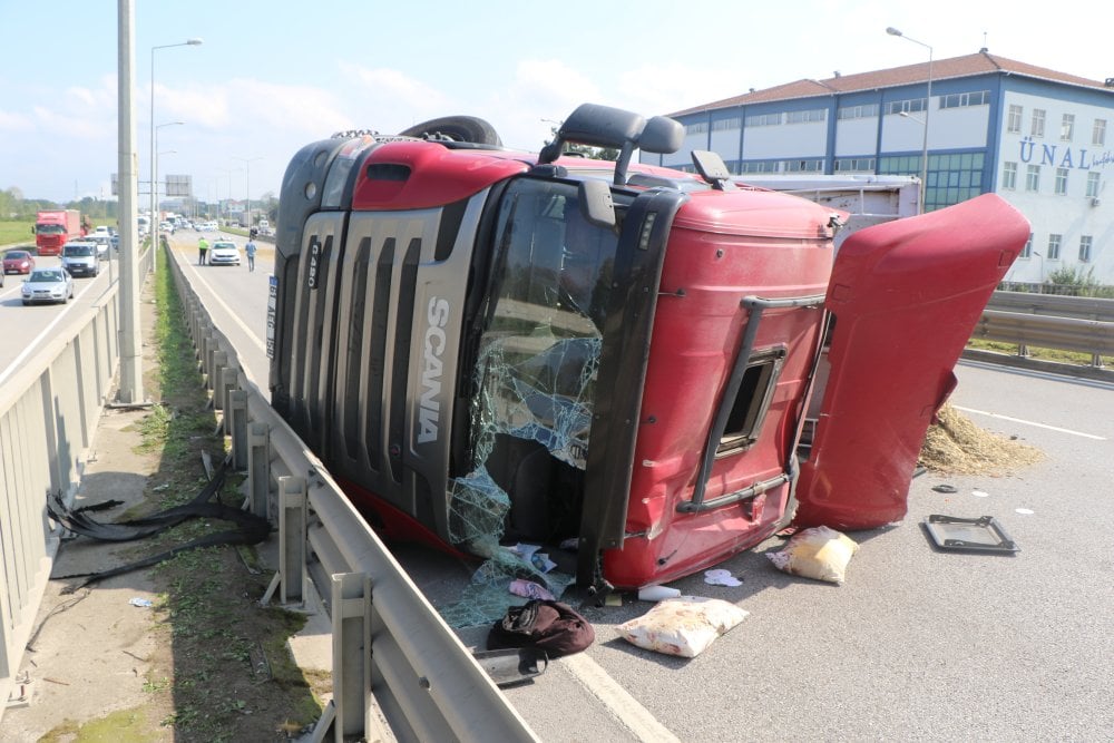 Küçücük bir arı koca TIR'ı devirdi