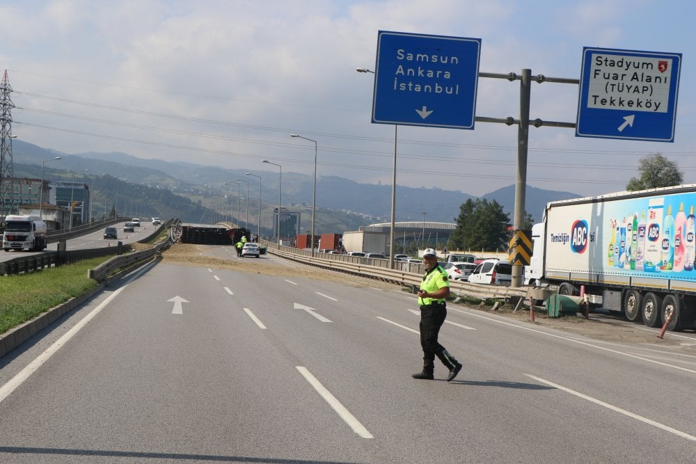 Küçücük bir arı koca TIR'ı devirdi