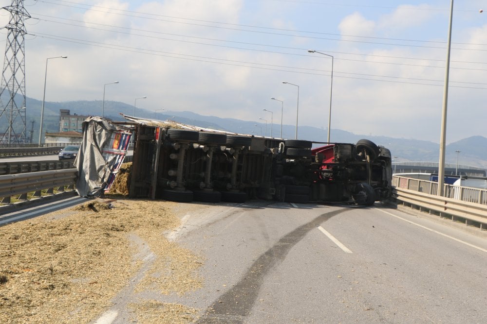 Küçücük bir arı koca TIR'ı devirdi