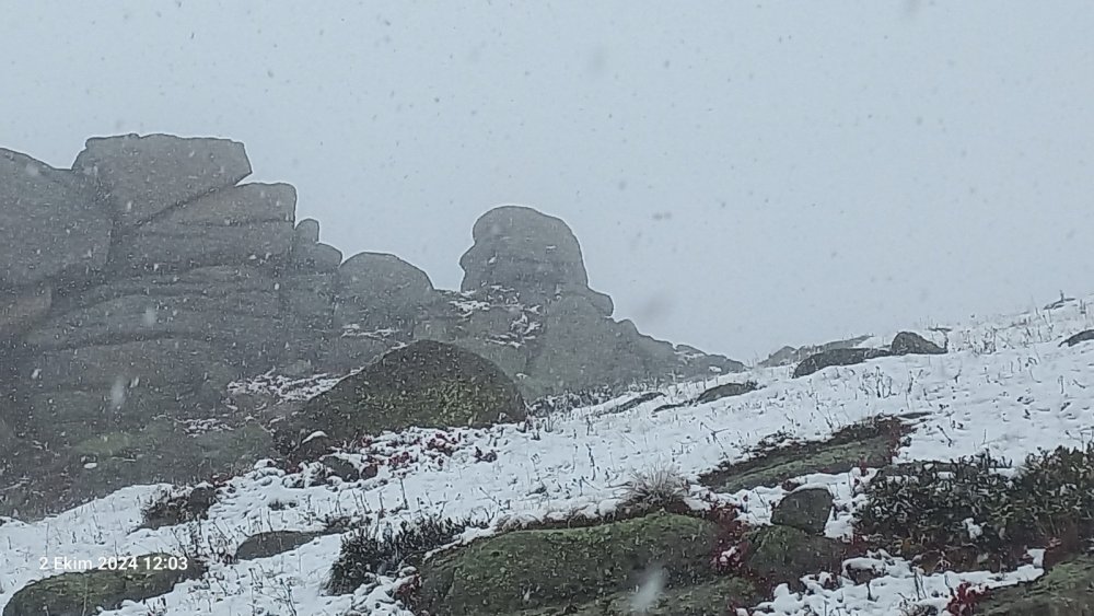 Rize'ye mevsimin ilk karı yağdı