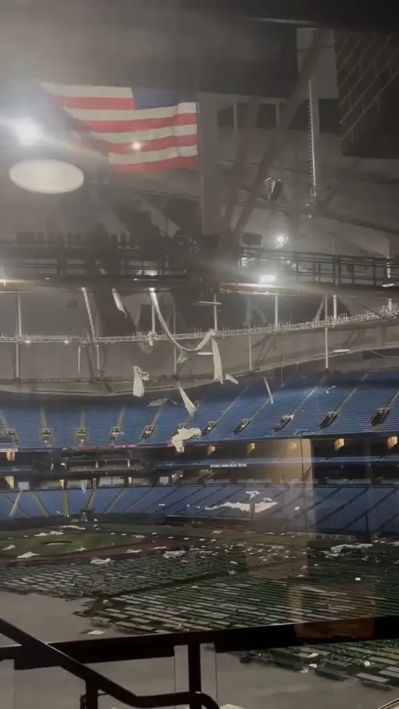 roof-tropicana-field-home-tampa-91343429.webp