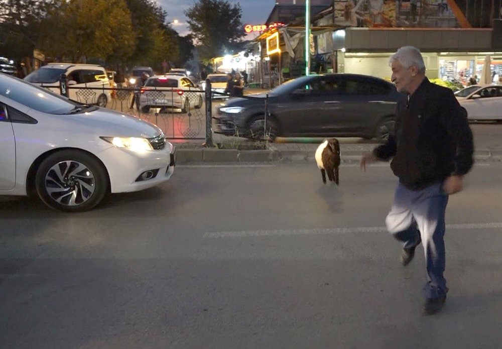 Annesi ölen Fulya Maşallah'ın peşinden ayrılmıyor