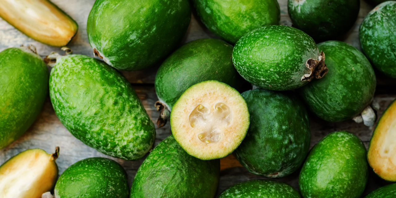 feijoa.png