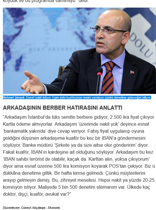 screenshot-2024-10-19-at-12-05-02-bakan-simseki-isyan-ettiren-tablo-vergiden-kacmak-icin-her-yolu-denemisler-turkiye-gazetesi.png