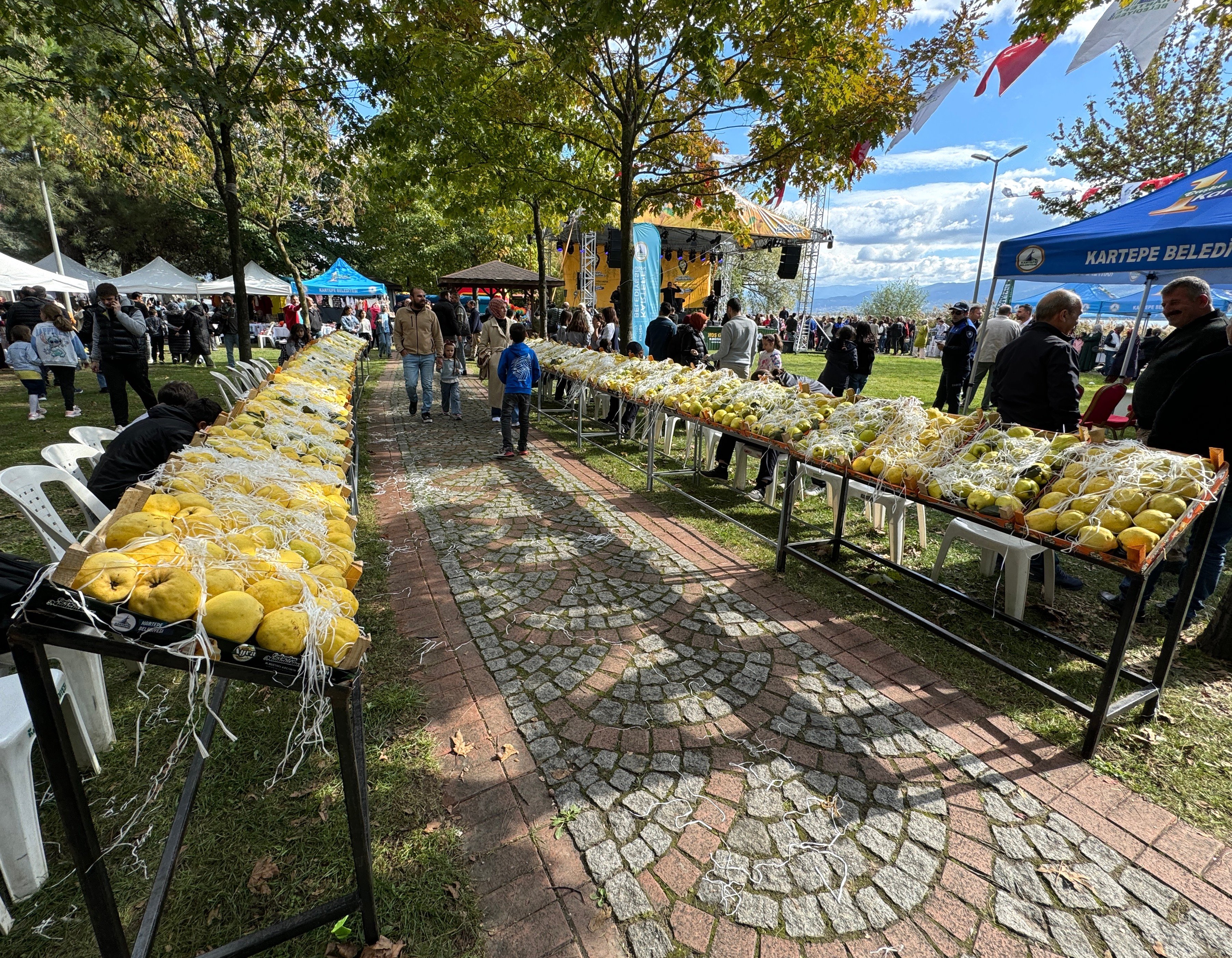 aa-20241020-35965346-35965344-kocaelide-duzenlenen-festivalde-tescilli-esme-ayvasi-tanitildi.jpg