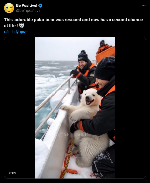 screenshot-2024-11-14-at-12-50-37-3-xte-be-positive-this-adorable-polar-bear-was-rescued-and-now-has-a-second-chance-at-life-https-t-co-tn7jvvb9qj-x.png