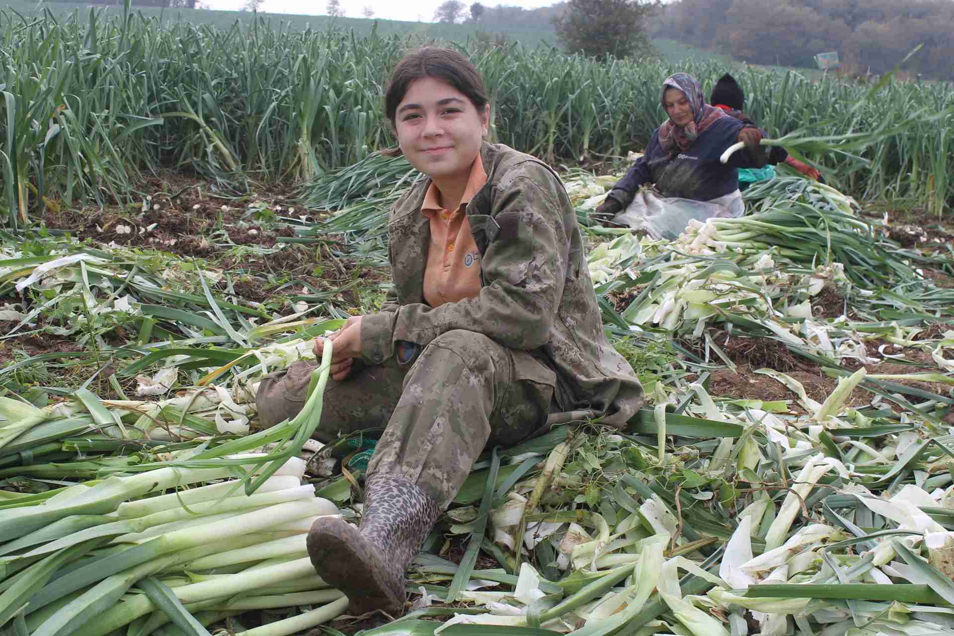 aa-20241116-36208451-36208448-bafra-ovasinda-pirasada-18-bin-ton-rekolte-bekleniyor-11zon.jpg