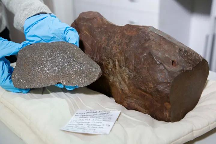 the-maryborough-meteorite-credit-museums-victoria-rod-start-2.webp