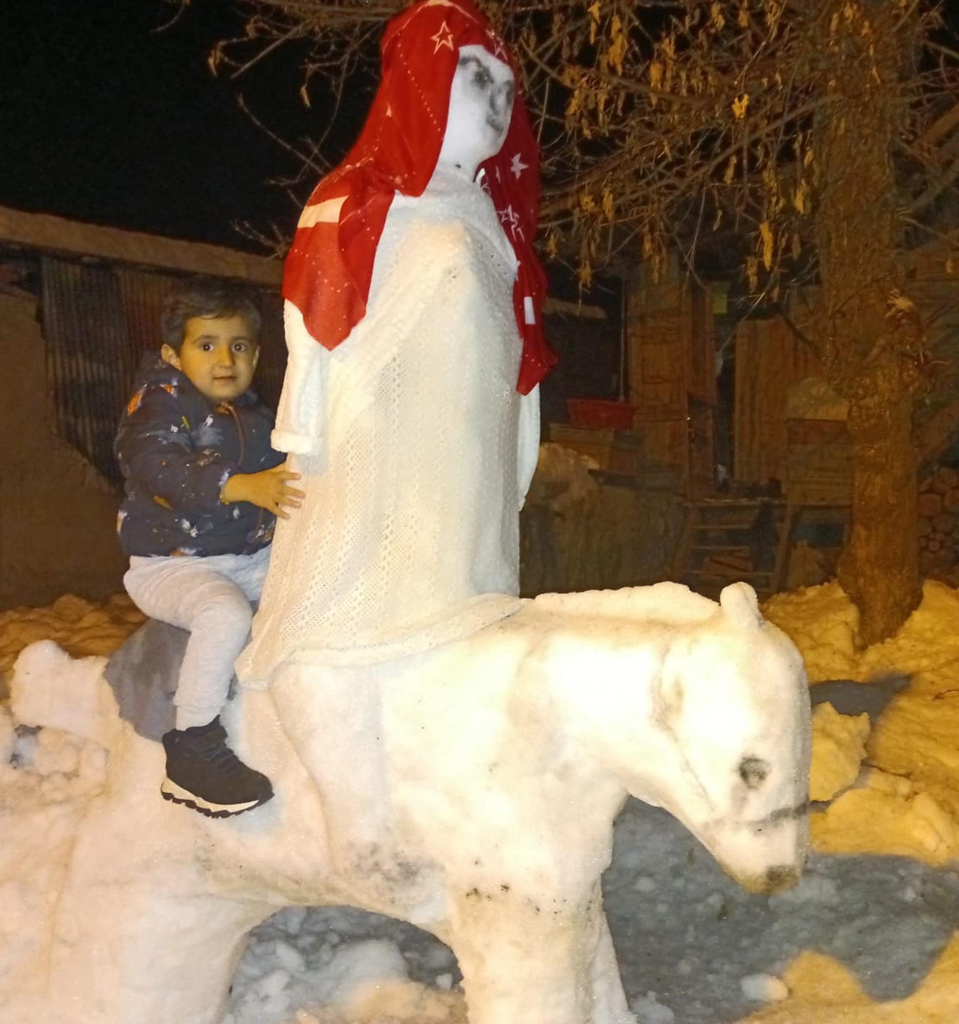 kardan-at-sirtinda-gelin-ve-damat-yapti-460828-136058.jpg